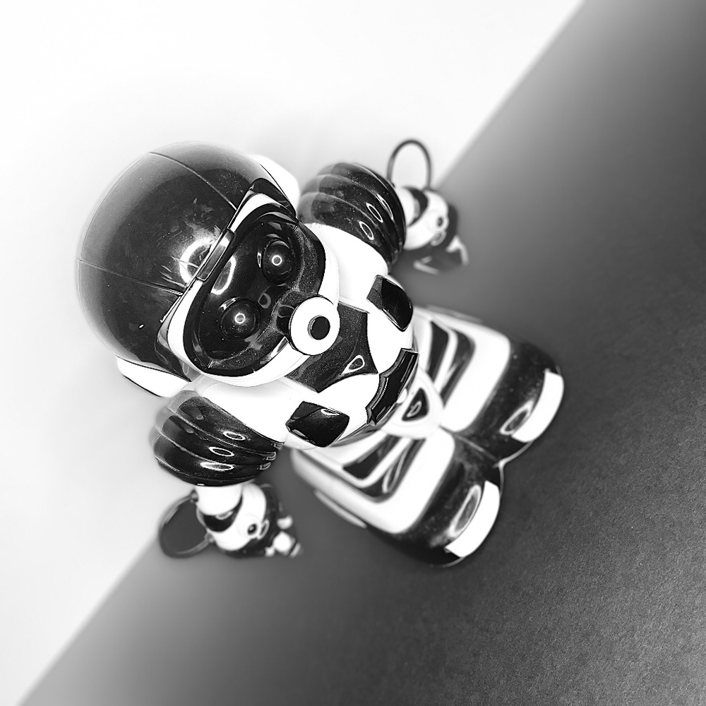 Robosapien Junior 2005 collectible edition